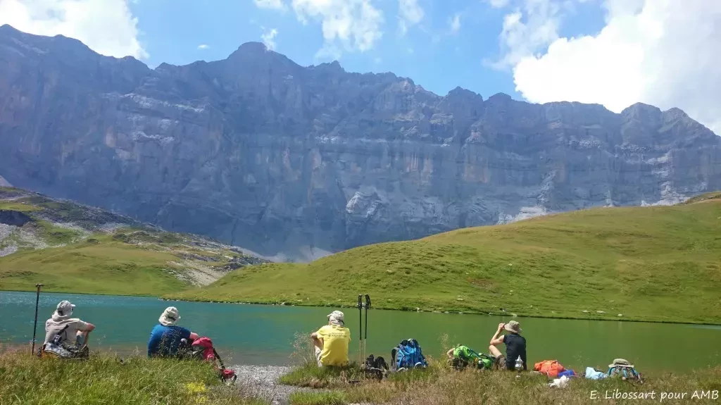 media-library406qfimbmrrf5BkXK3S