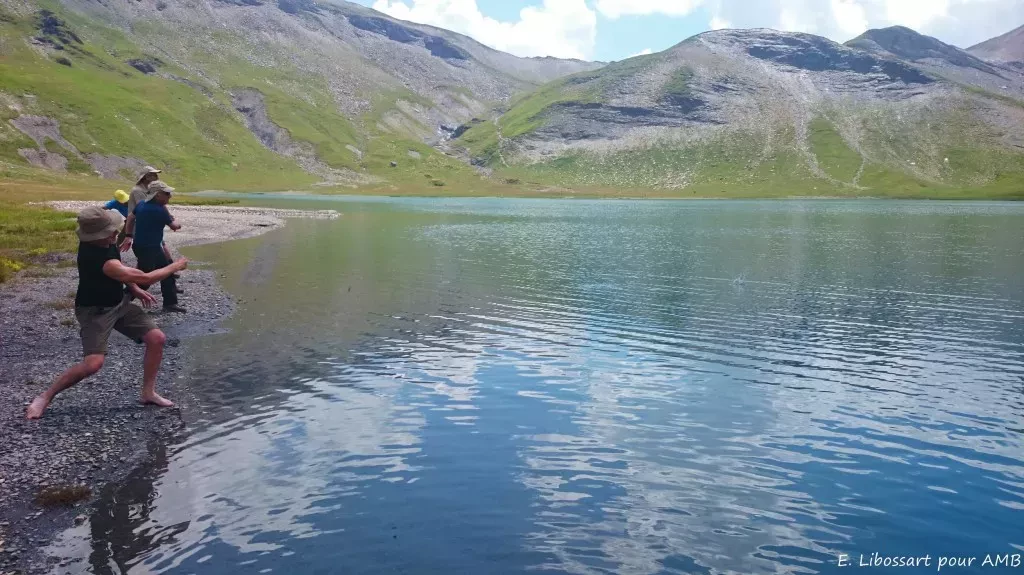 media-library2sfnakqup325414uQIW