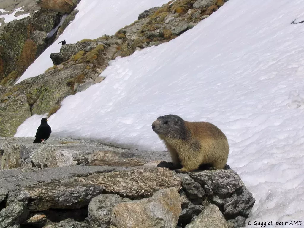 media-libraryc1lkvs2mcbdmdym1yxW