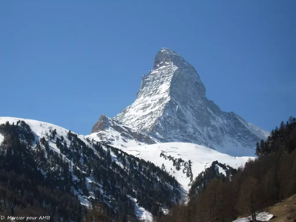 media-libraryegfa4vt50c0raEPL6sV