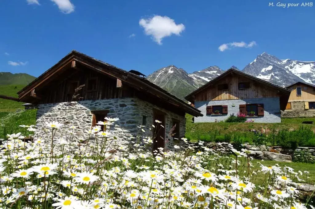 media-librarynk9jhmr4go3ndahhioW