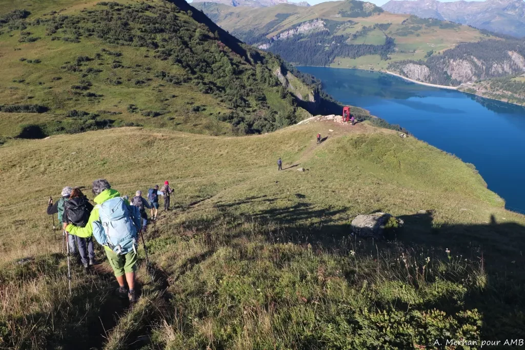 media-libraryvr8k86e52lh99v6ZowT