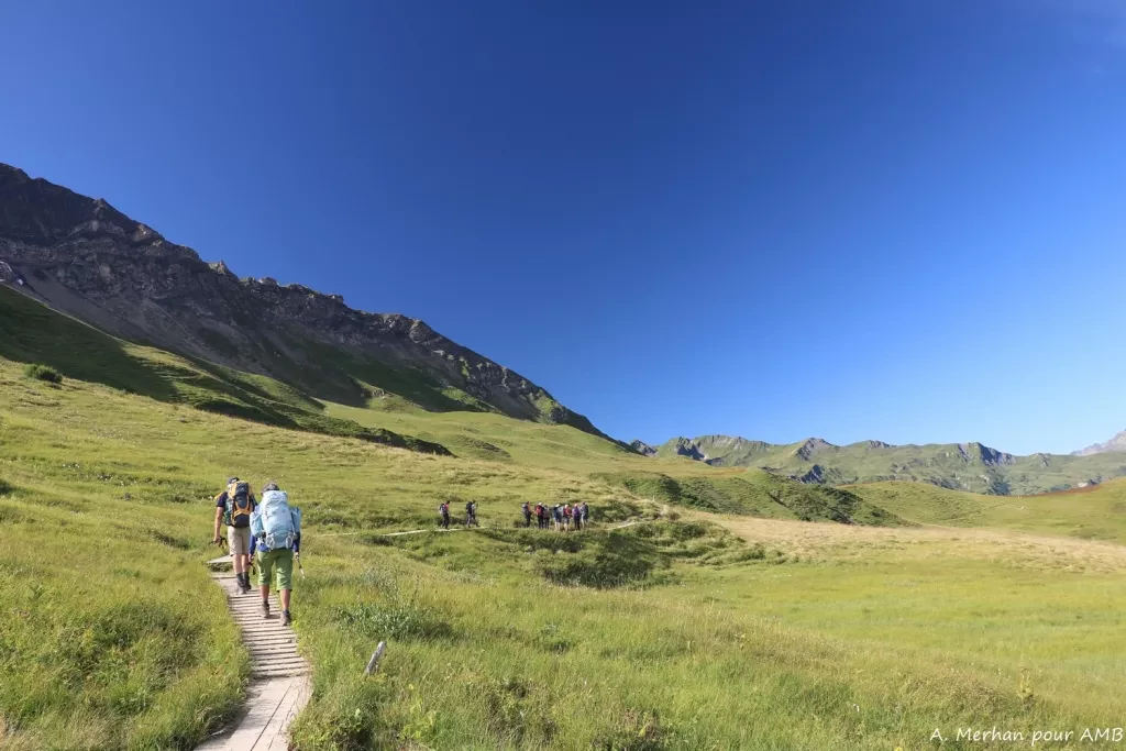 media-library9lbmd62p9r8deBEeiaT