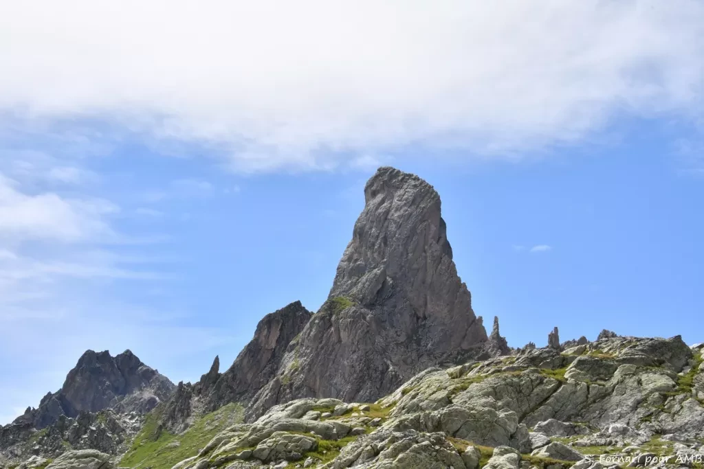 media-librarydjqiiq1dq9kj9OZPSpU