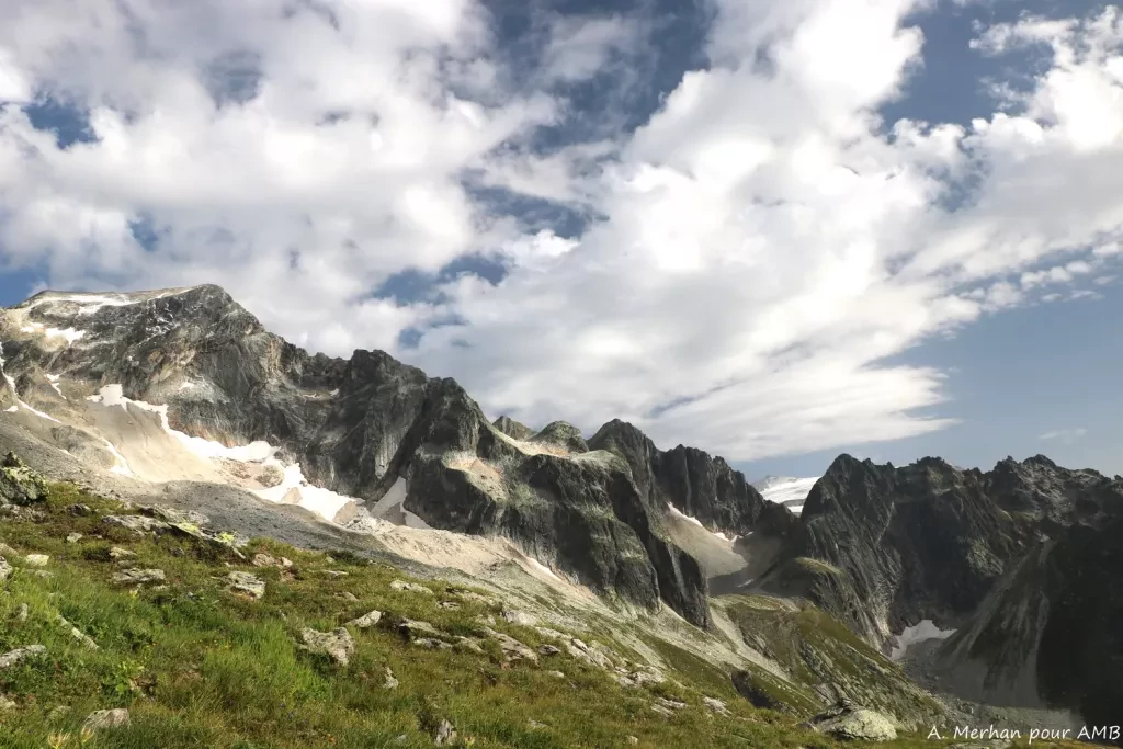 media-library1qofl1r58m8j4OJBRRV