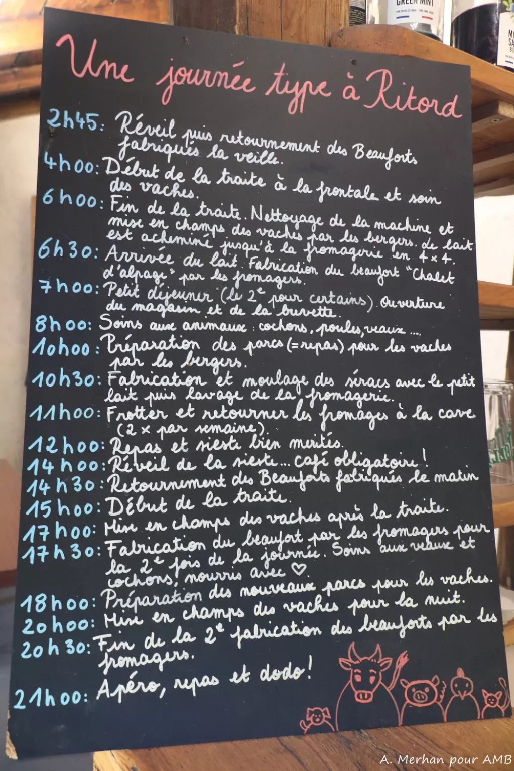 media-library1dn16p1gb6uu0r8zcpT