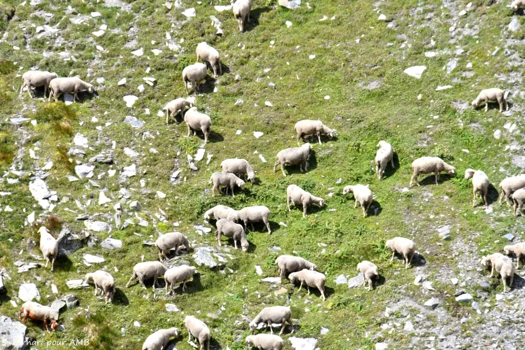 media-library20kkmeiiu0ir2ua96gU