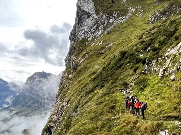 DENTS BLANCHES AIGUILLES ROUGES