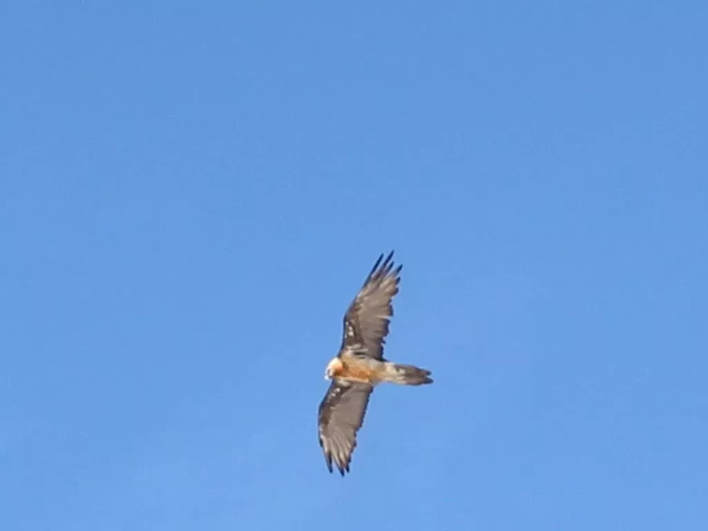 media-library183lj5e2s9it6dgihOU