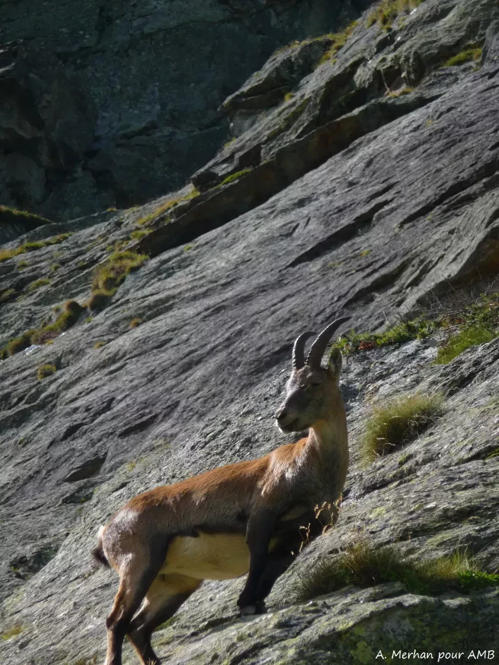 media-librarylcs3vsi9i0tff05UAtW