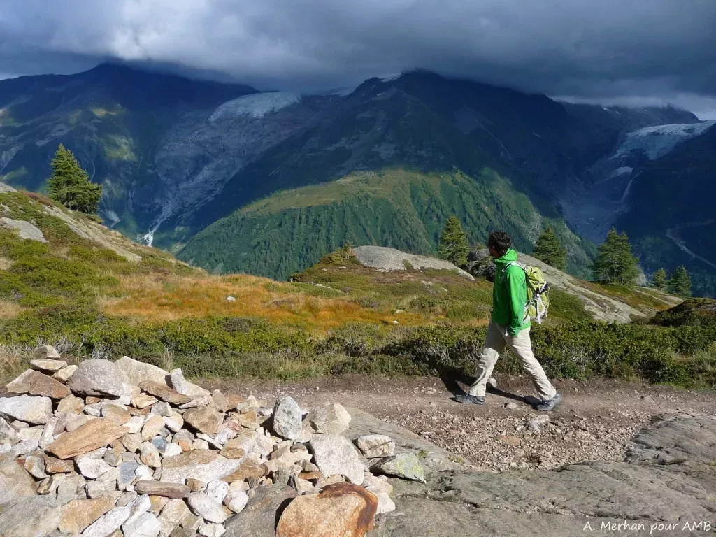 media-libraryitsii8tcv18pbLLI1qU