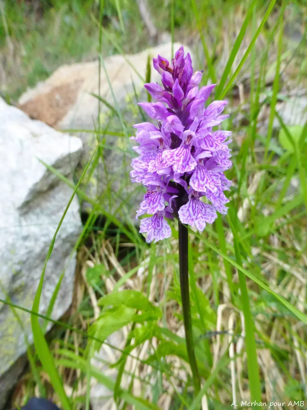 media-library4c3gu8ig5eim67hA19S