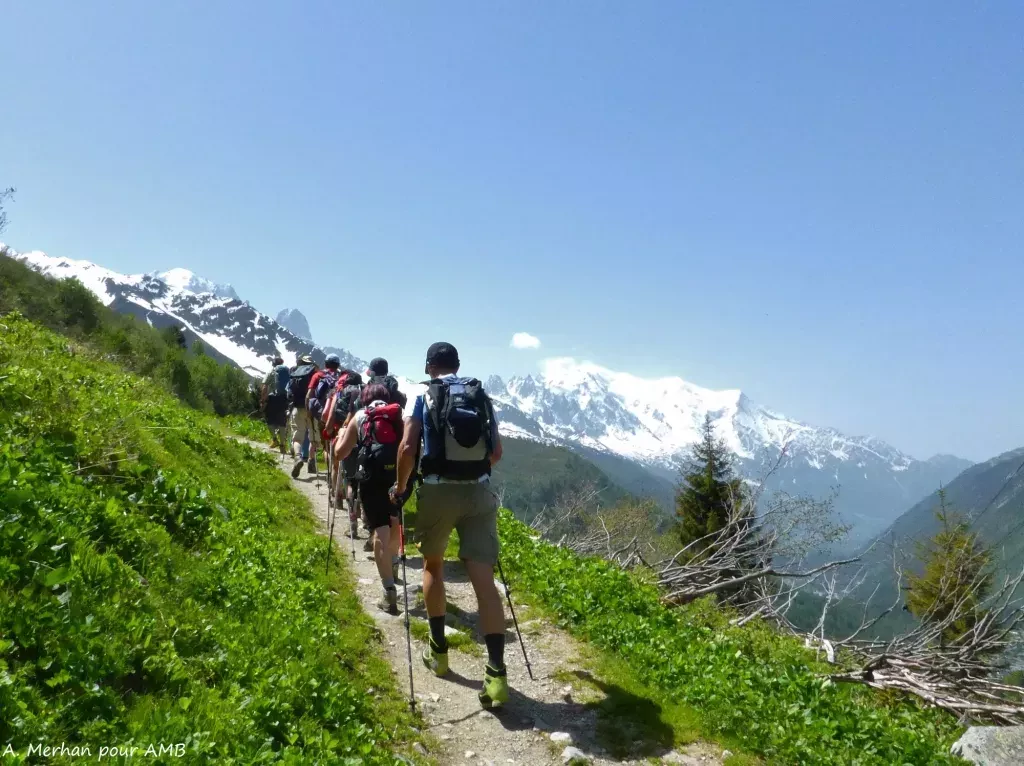 media-library5kq45uh9o3ct3yRea5S