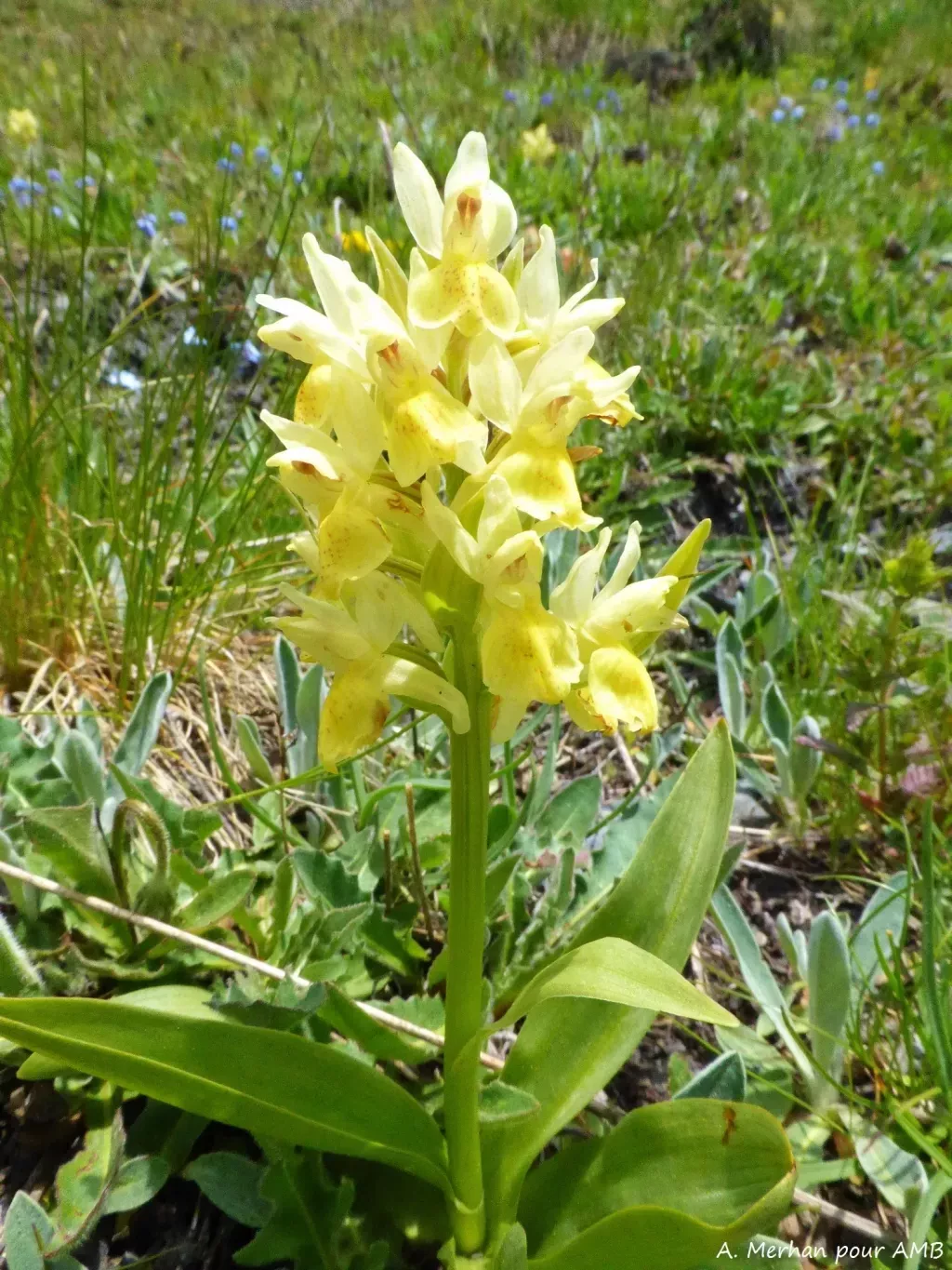 media-libraryd2tnlmrc5649cZJiZSV