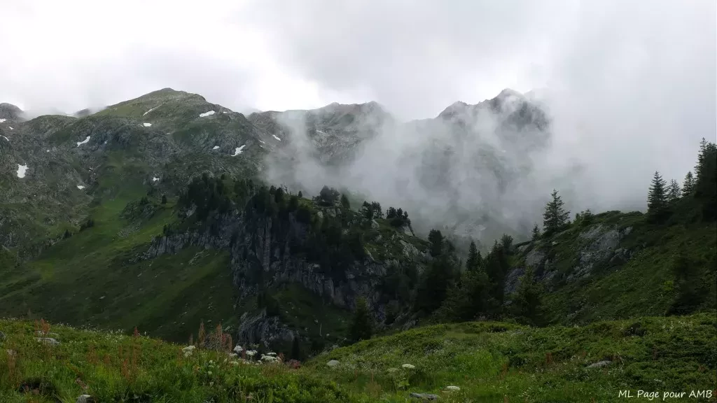 media-libraryuokoqhf2kdig806A9CT