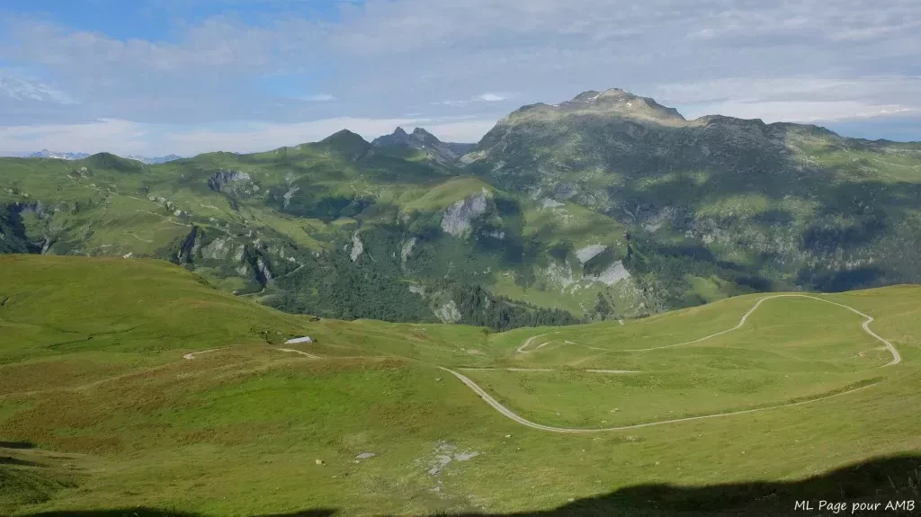 media-libraryj6jo7m41gengcUH0P8W