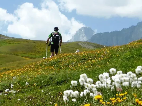 TOUR OF MONT BLANC Camping 7 days