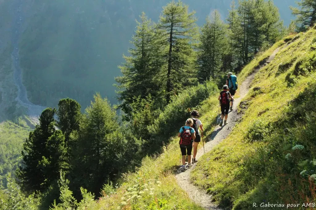 media-library44bp9kv386jta7HvTyT