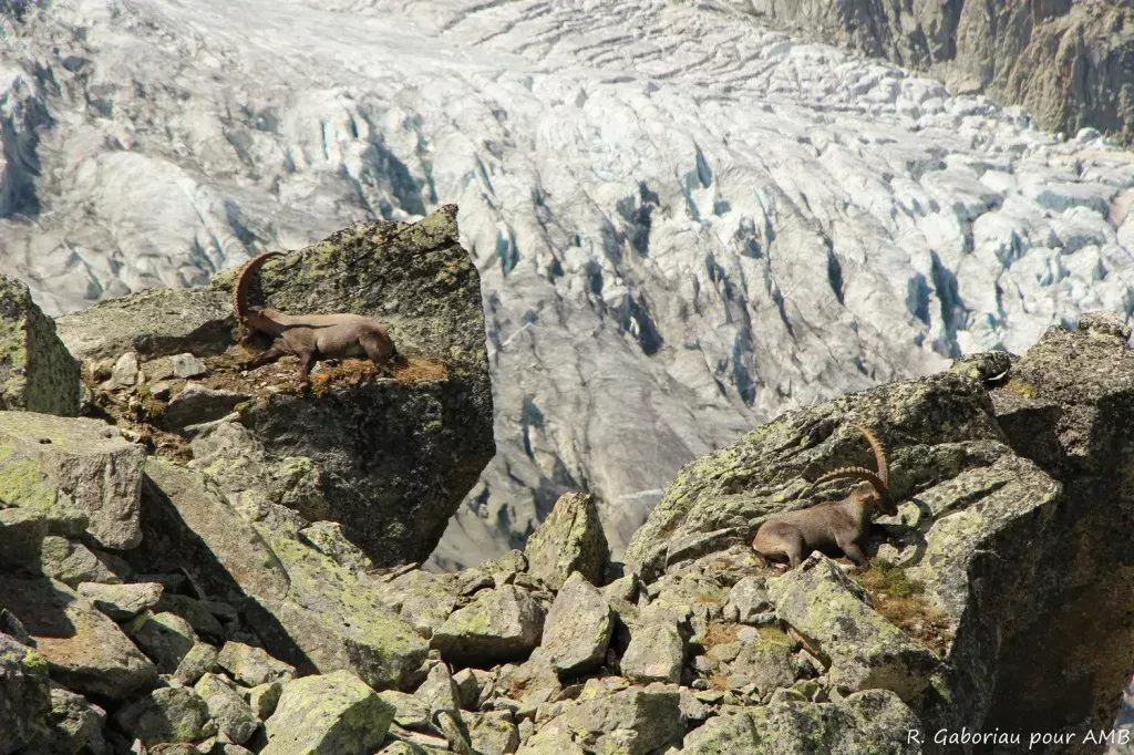 media-librarypjqssbe3gg0523SyZHW