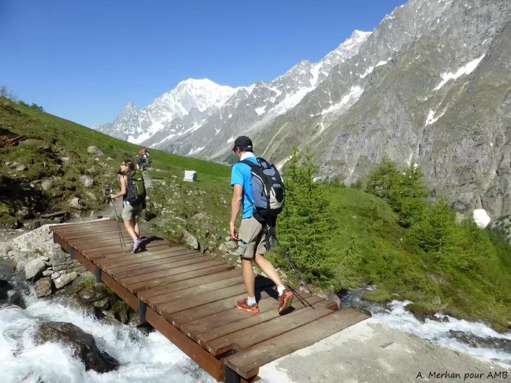 media-library4rcmdgeids6mcSgR3AT