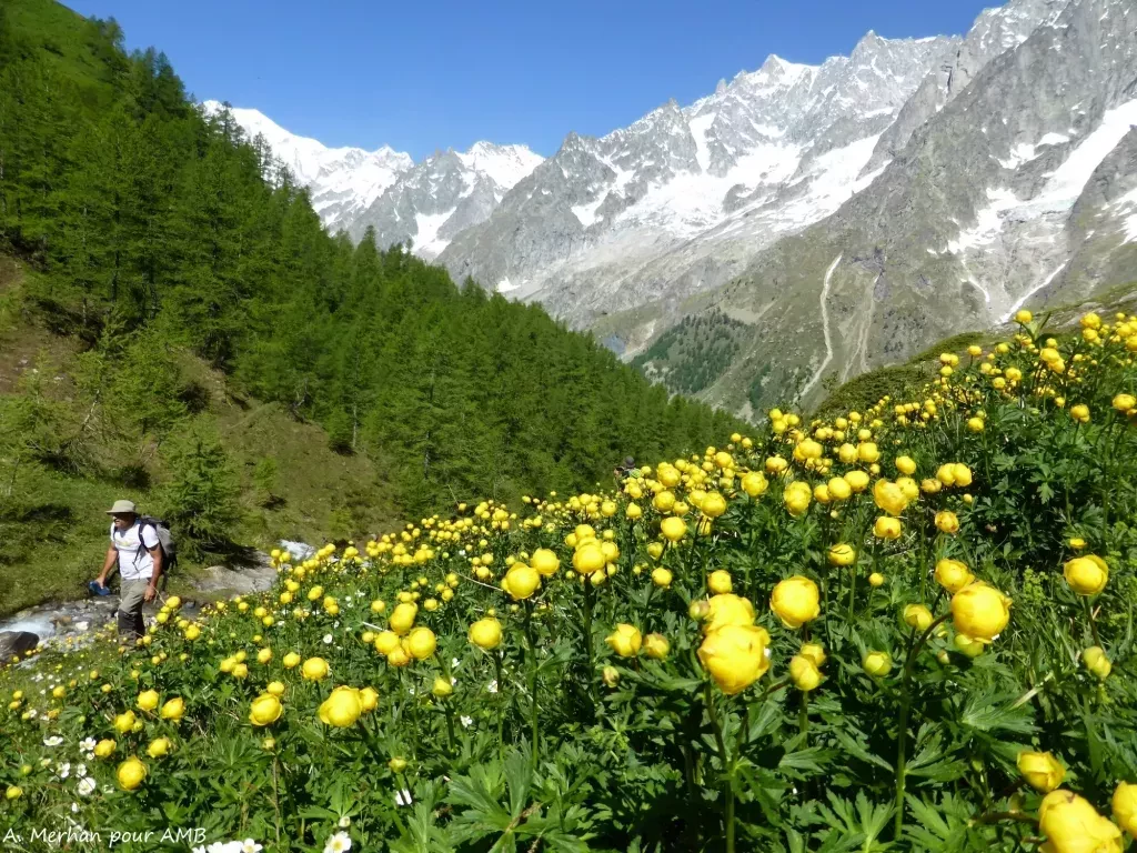 media-libraryu6vhdg185gtp5dTDLAX