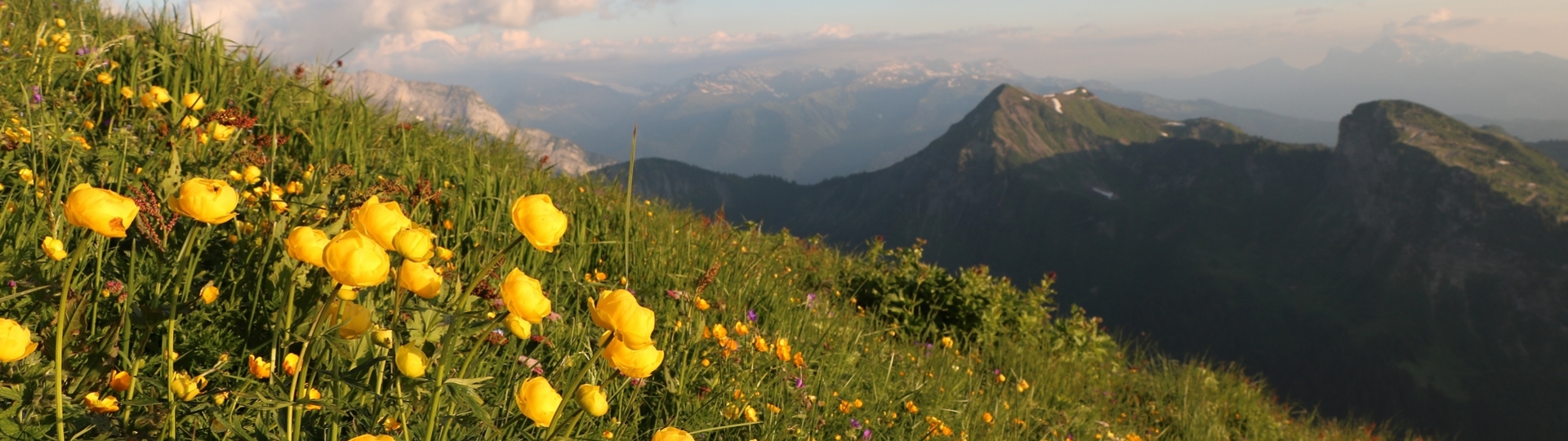PANORAMA DE MORZINE 