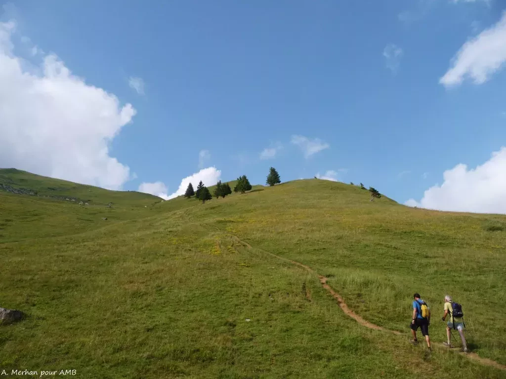 media-library7t0bf48sojqg6pH7RUV