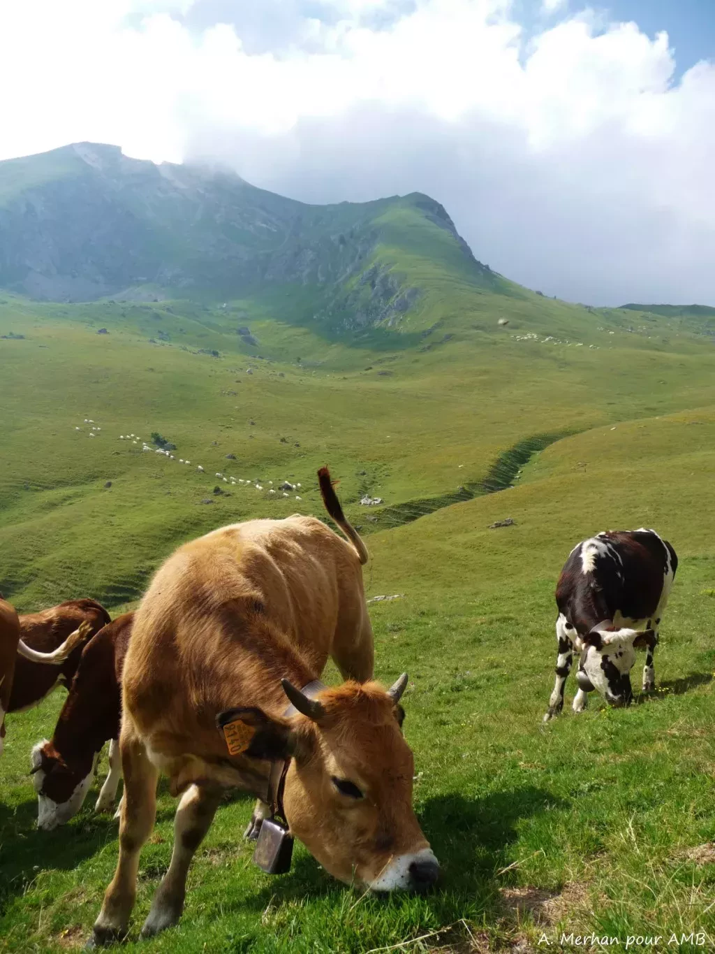 media-libraryeocf9haqd0851COFO5S