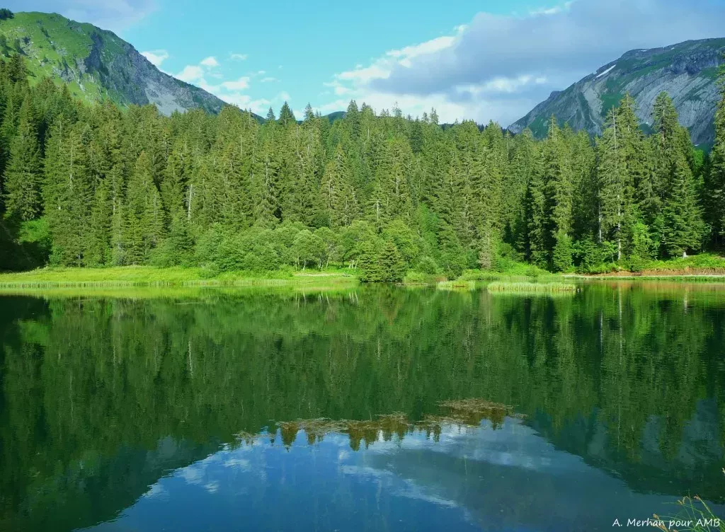 media-libraryesbpkhuadh2v1QdoHBT