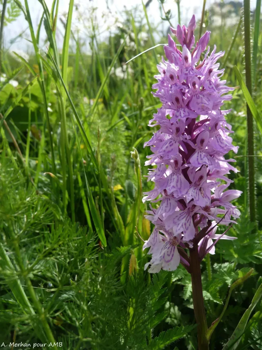 media-libraryccrjm5s13eg7dl62p6S