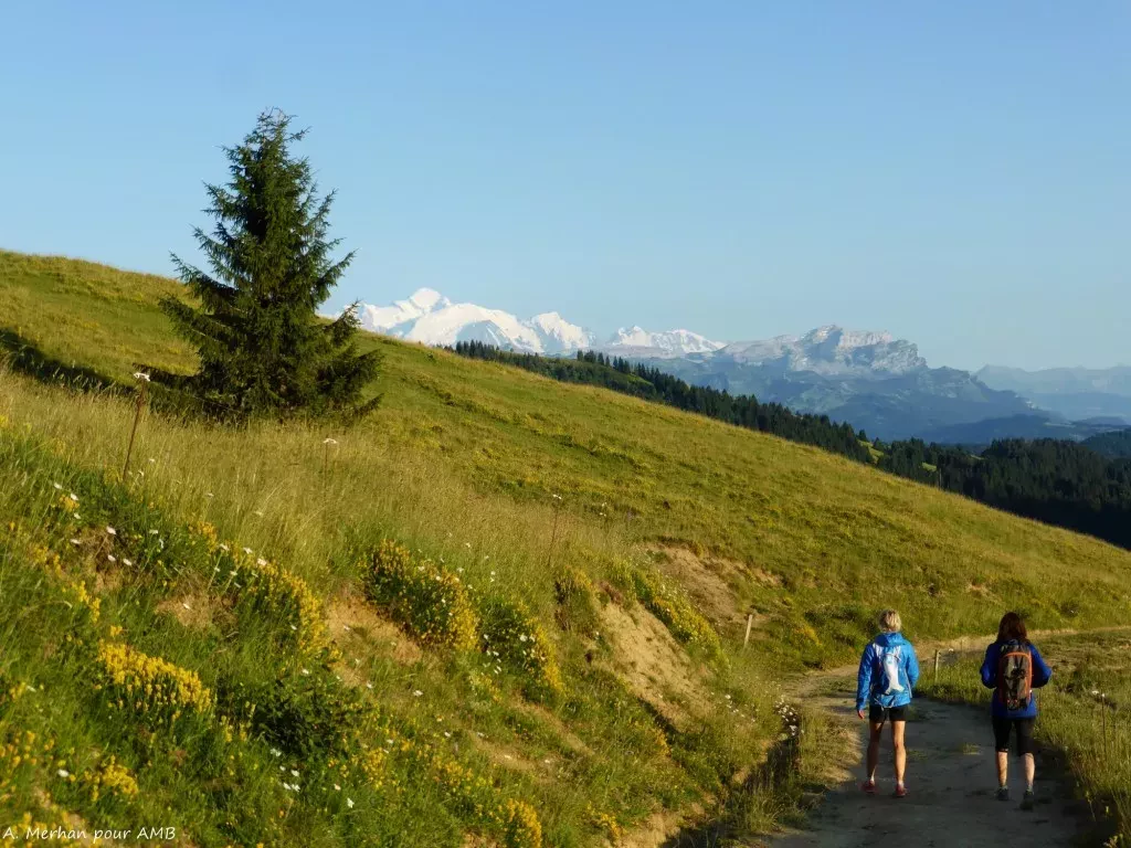 media-libraryd300pp1m6ndq5sHCafU