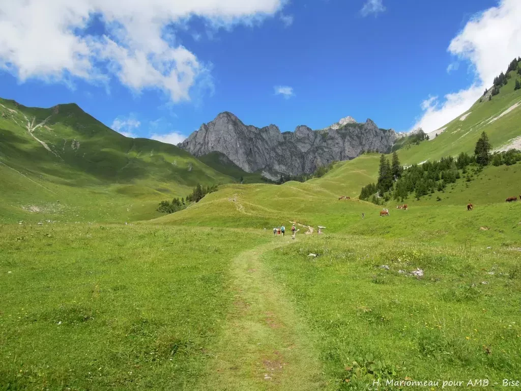 media-library075fqsvb4qbe95jFTHV