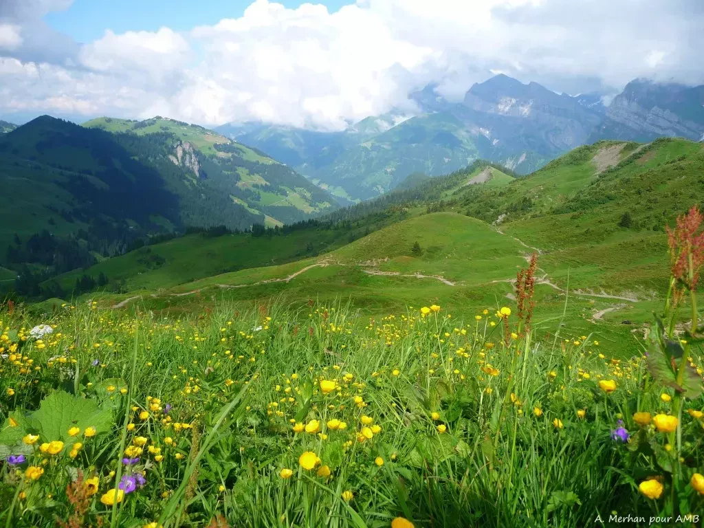 media-libraryg3c02sks8l5reFXpntV