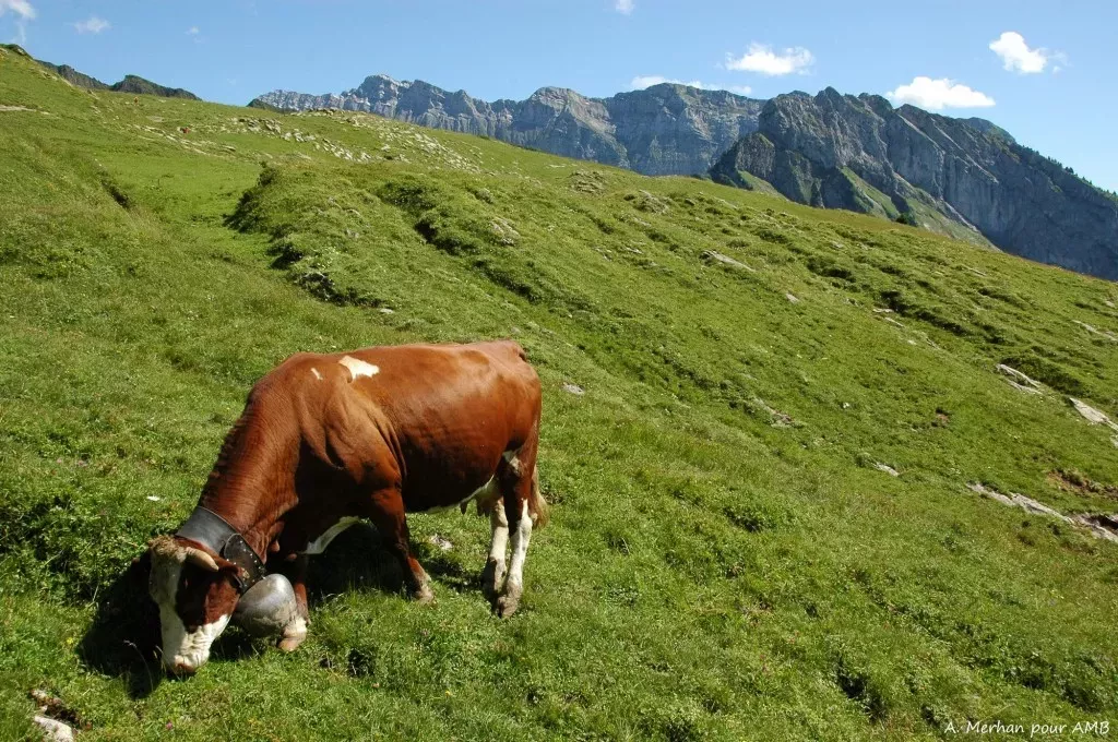 media-library9vfi9vq2d219bYguFLT