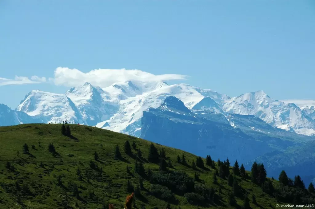 media-library76o463trapkd4CkeDfU