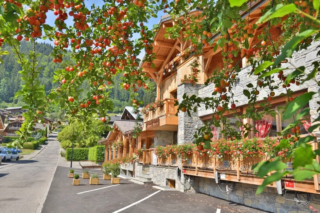 media-library2vek69ftk1abcIjKCdW