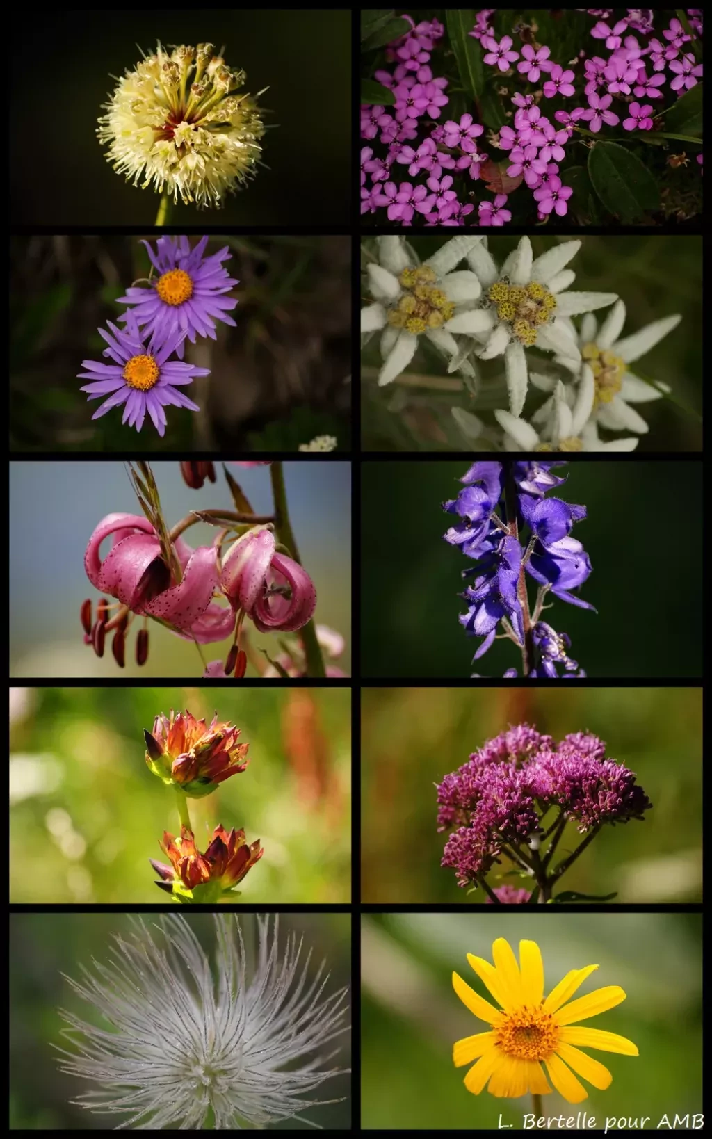 media-libraryg3186v763trgbgD39DT