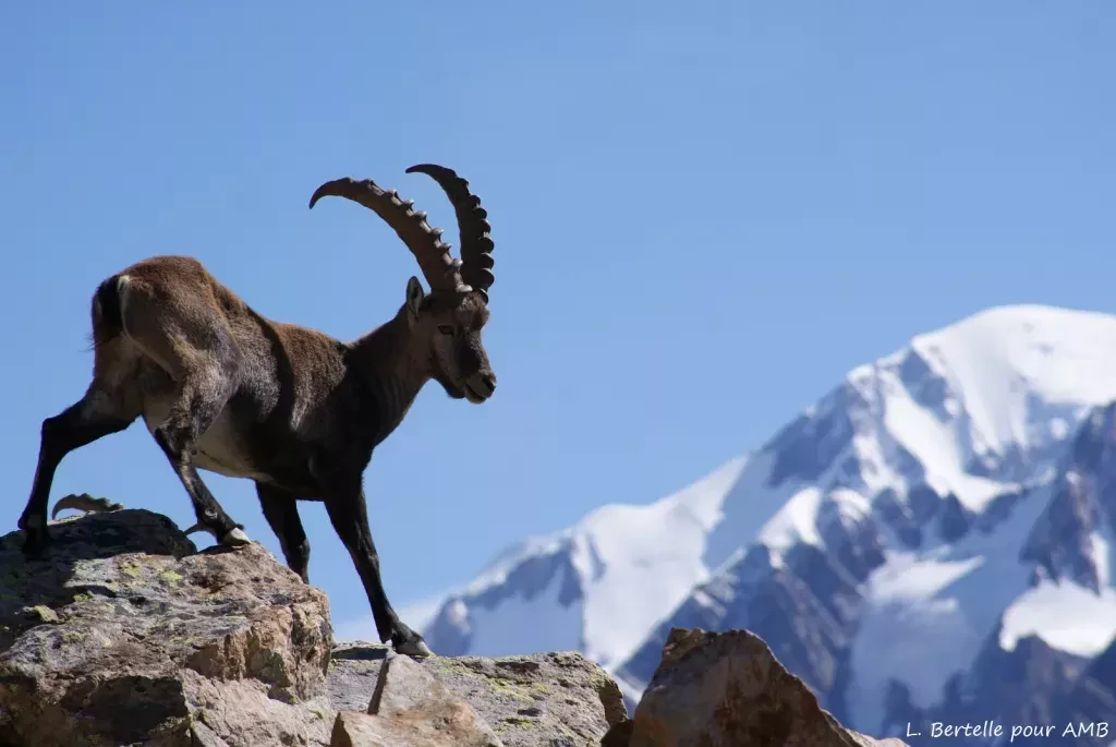 media-libraryqttidh70kcitbOshDFW