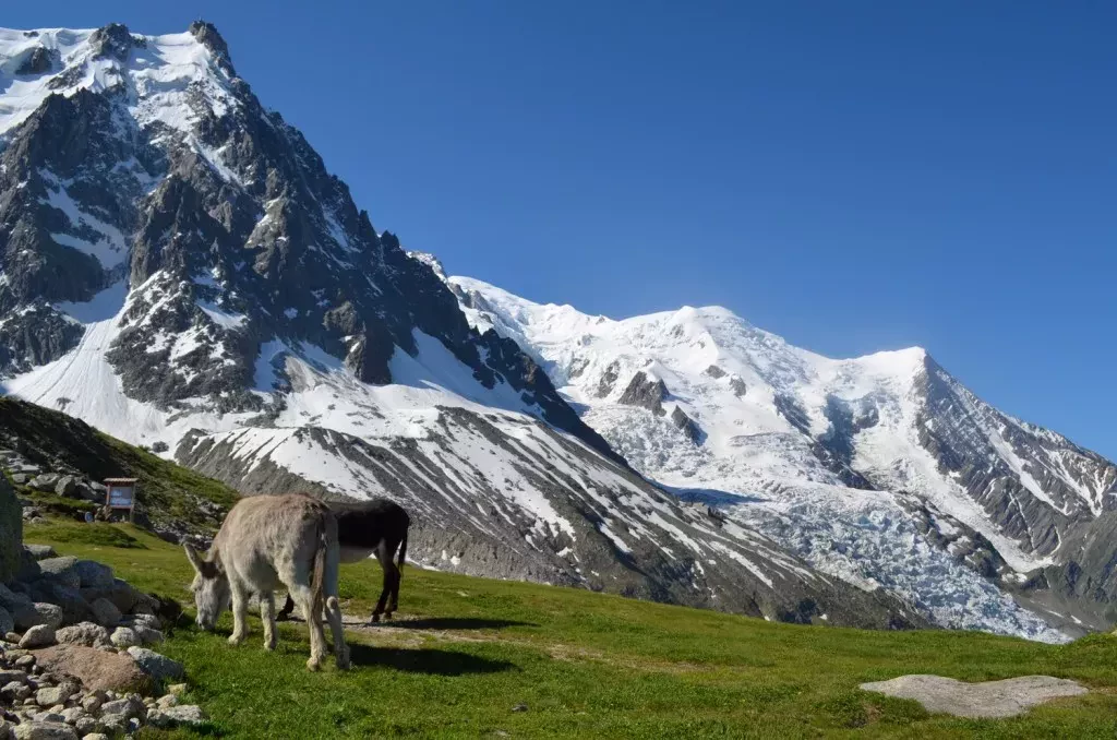 media-librarydp9i4qs4497d4URrpoW