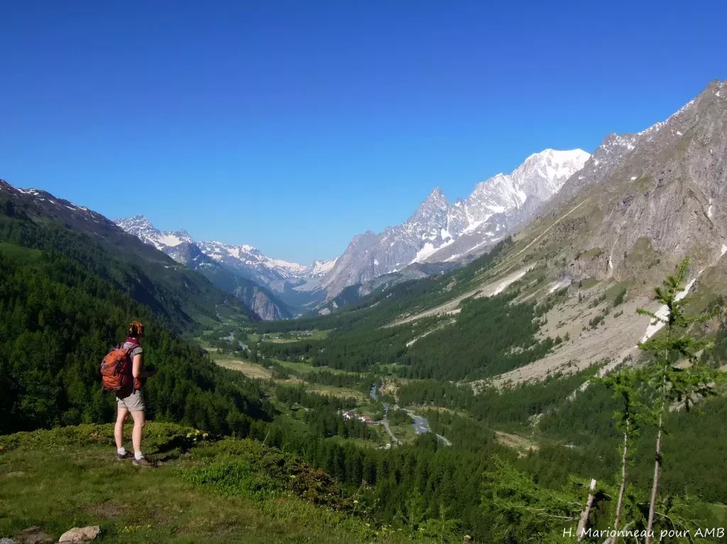 media-libraryluos1vbm7nea8uubiYV