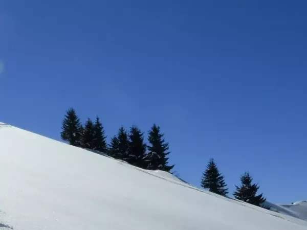 WEEKEND DISCOVERY SKI TOURING