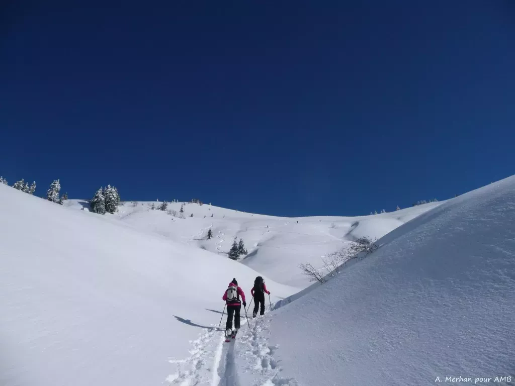 media-libraryve5ceo1k029057OezyX