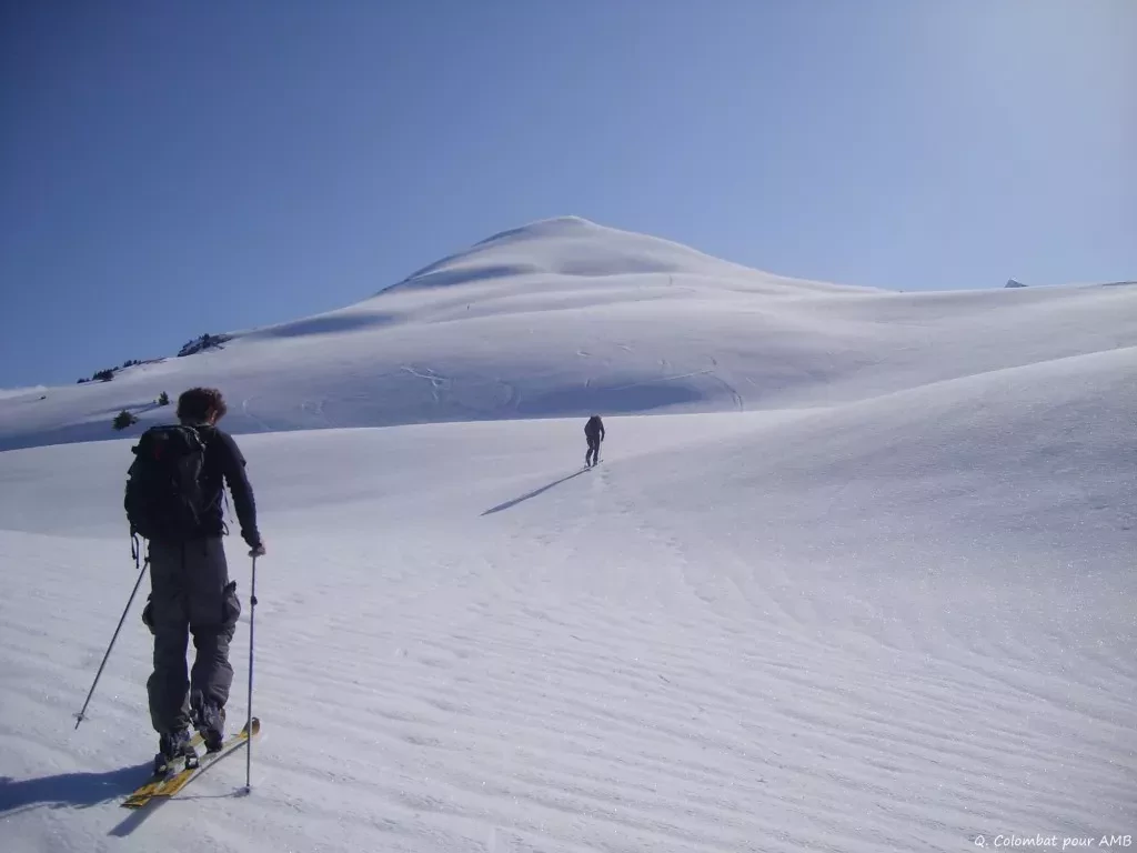 media-librarys0aebn8rgvnf6ypWeBU