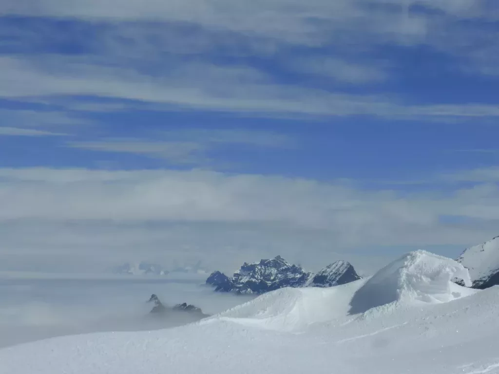 media-libraryg5sv79ip00772sig9IW