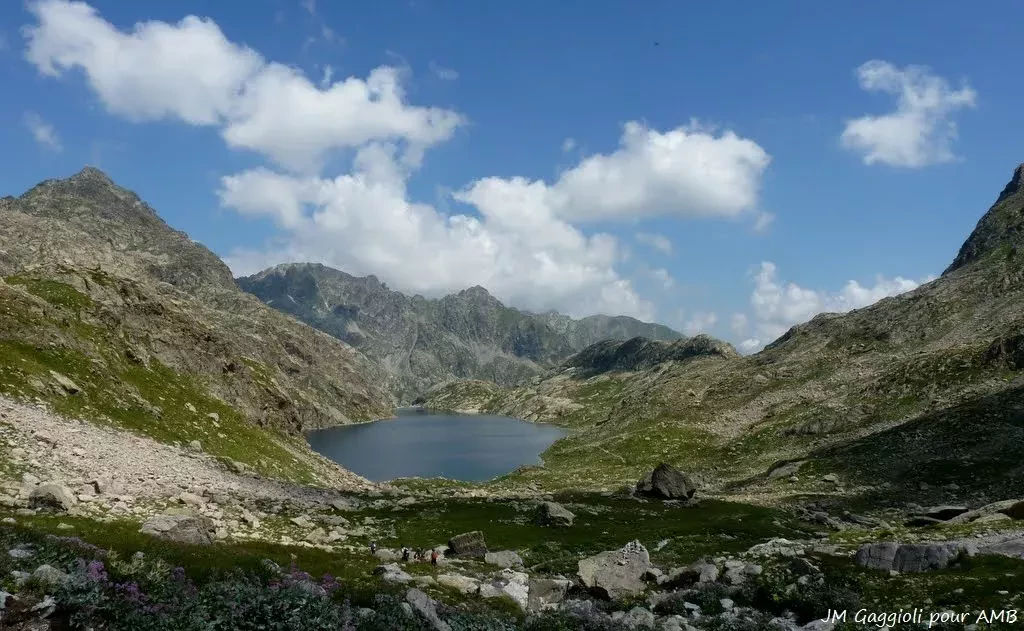 media-libraryg1ojn4rfts7b4QjetLT