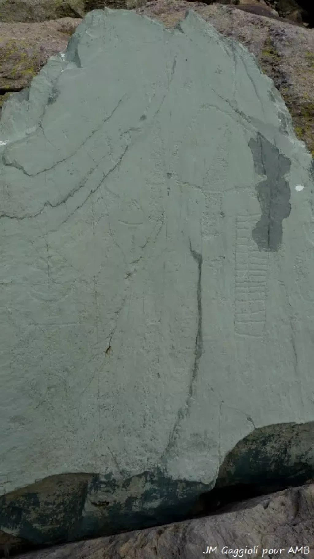 media-library670on28o3c430Ic6KYU