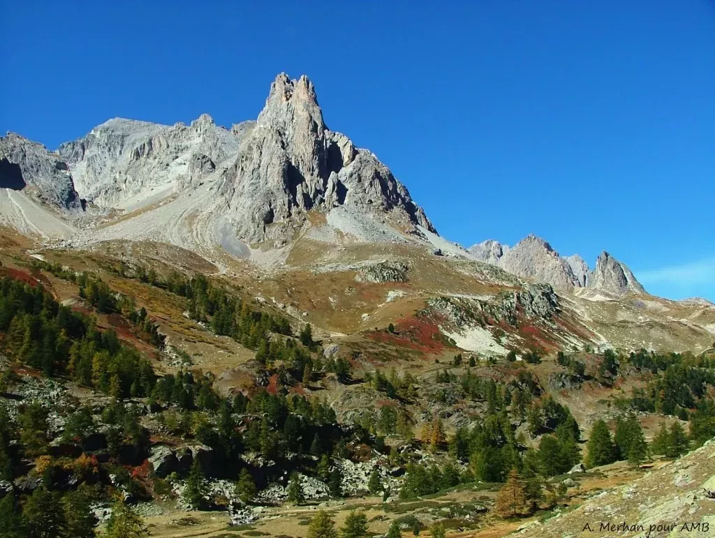 media-libraryl7rp3mlu70a88TyIFgV