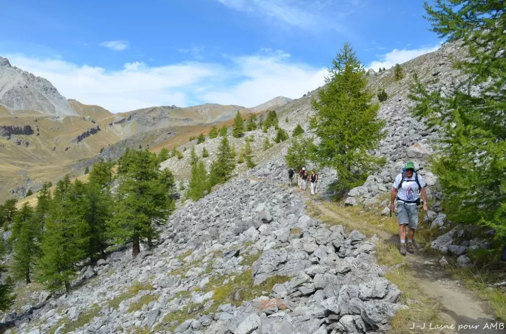 media-library1qr41faetsmg3rfvQ9V