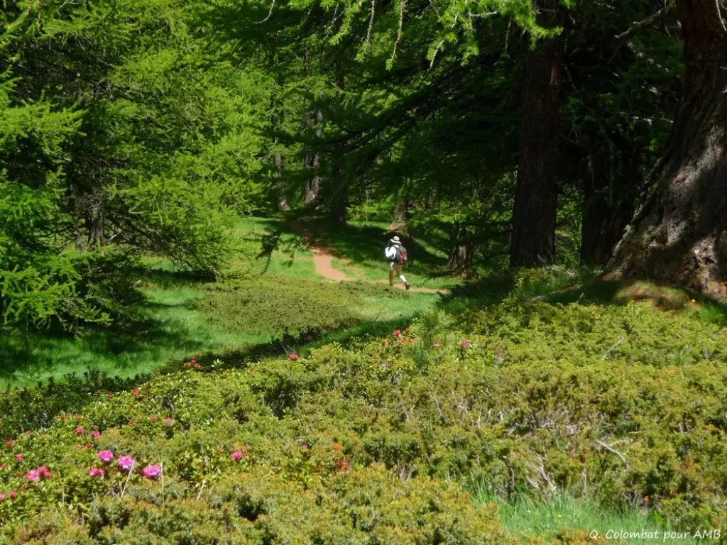 media-libraryslncmkj1d531dq9tq4W