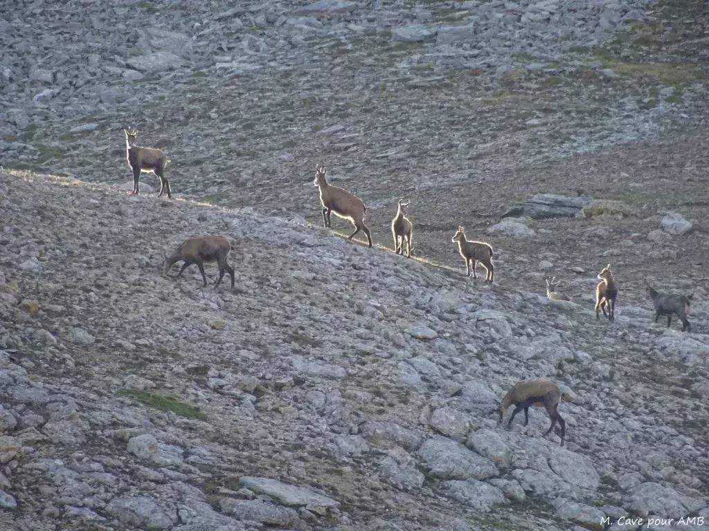 media-library0rut03dimdgdczcmGgT